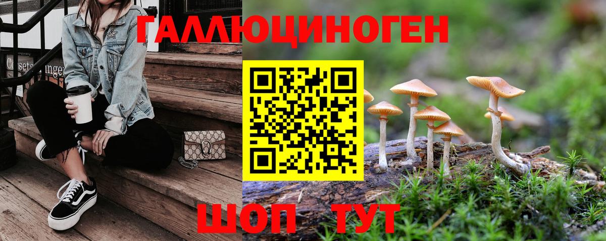Псилоцибиновые грибы GOLDEN TEACHER Новосибирск